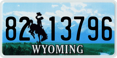 WY license plate 8213796