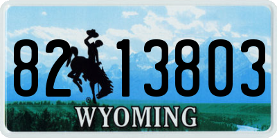 WY license plate 8213803