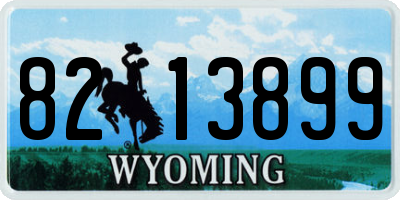 WY license plate 8213899