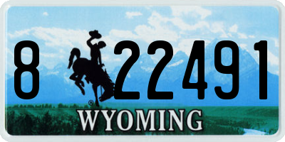 WY license plate 822491