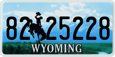 WY license plate 8225228