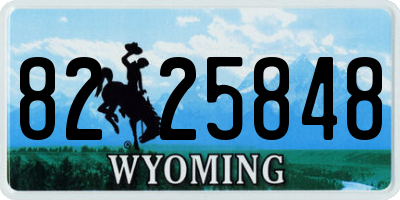 WY license plate 8225848