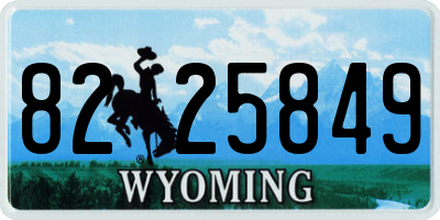 WY license plate 8225849