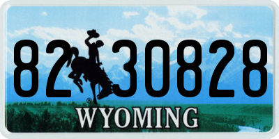 WY license plate 8230828