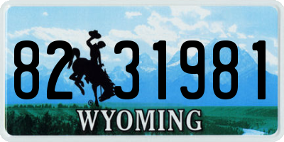 WY license plate 8231981