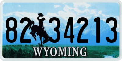 WY license plate 8234213