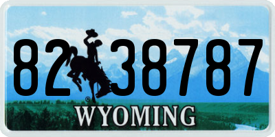 WY license plate 8238787