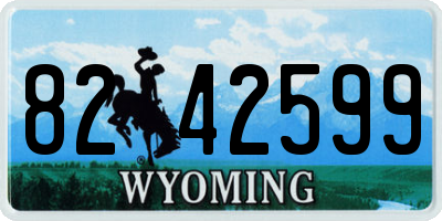 WY license plate 8242599