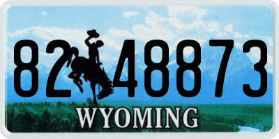 WY license plate 8248873