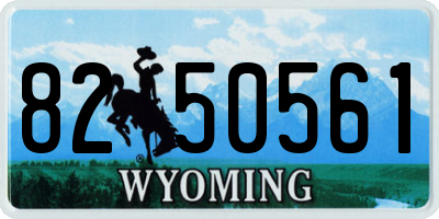 WY license plate 8250561