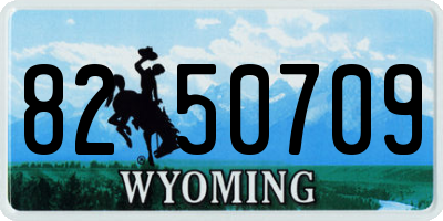 WY license plate 8250709