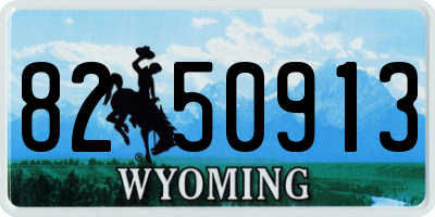 WY license plate 8250913