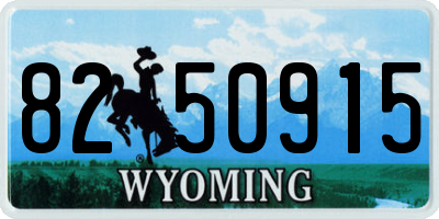 WY license plate 8250915