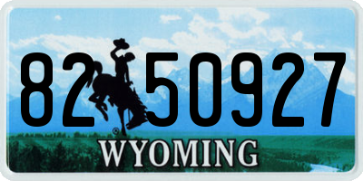 WY license plate 8250927