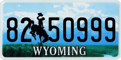 WY license plate 8250999