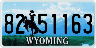 WY license plate 8251163