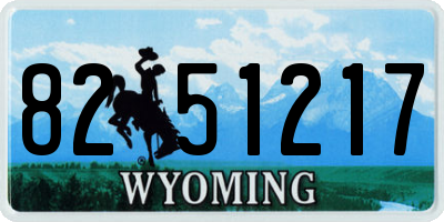WY license plate 8251217
