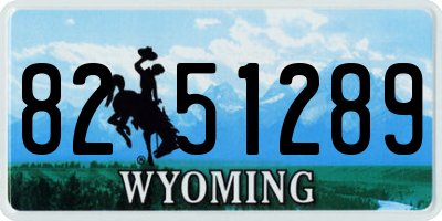 WY license plate 8251289