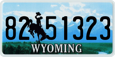 WY license plate 8251323