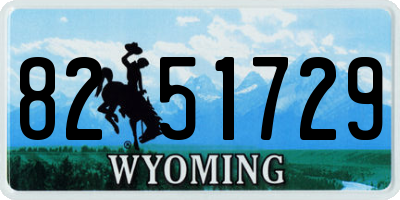WY license plate 8251729