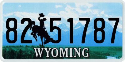 WY license plate 8251787