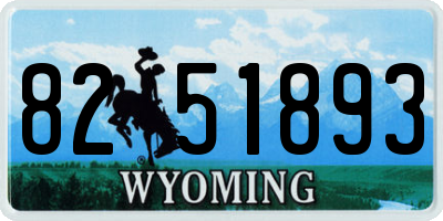 WY license plate 8251893