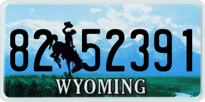 WY license plate 8252391