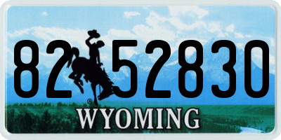 WY license plate 8252830
