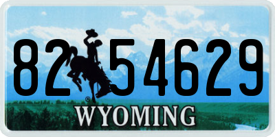 WY license plate 8254629