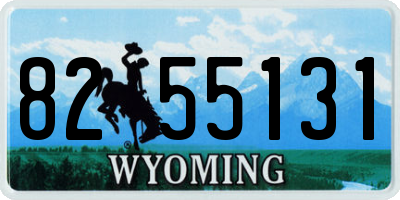 WY license plate 8255131