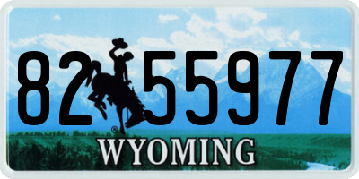 WY license plate 8255977