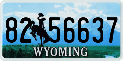 WY license plate 8256637