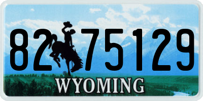 WY license plate 8275129