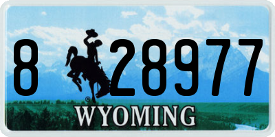WY license plate 828977