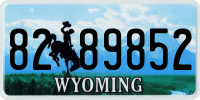 WY license plate 8289852