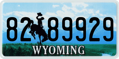 WY license plate 8289929