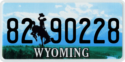 WY license plate 8290228