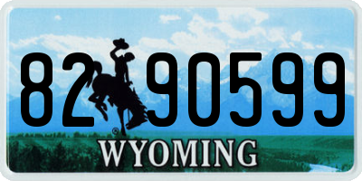 WY license plate 8290599