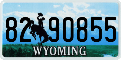 WY license plate 8290855
