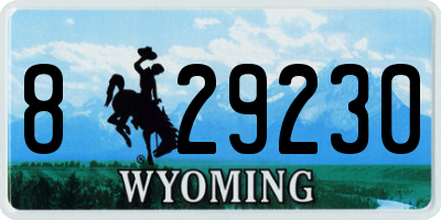 WY license plate 829230