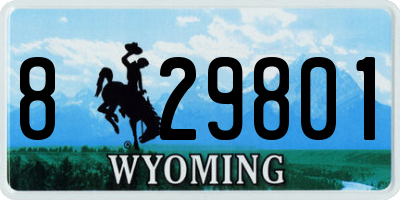 WY license plate 829801