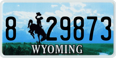 WY license plate 829873