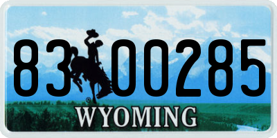 WY license plate 8300285