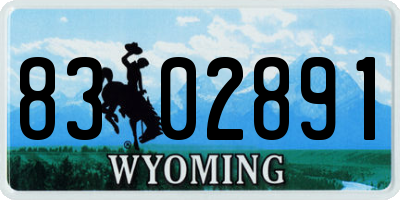 WY license plate 8302891