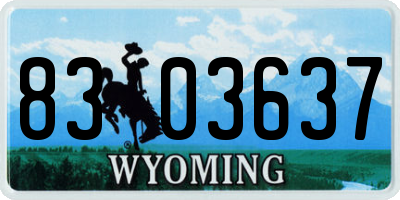 WY license plate 8303637