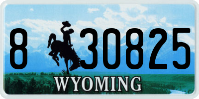 WY license plate 830825