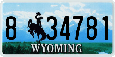 WY license plate 834781