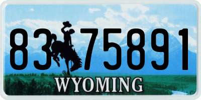 WY license plate 8375891