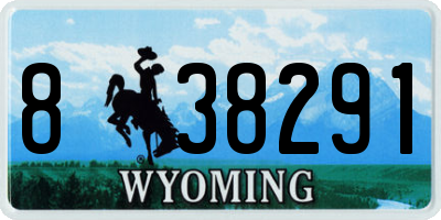 WY license plate 838291