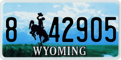 WY license plate 842905